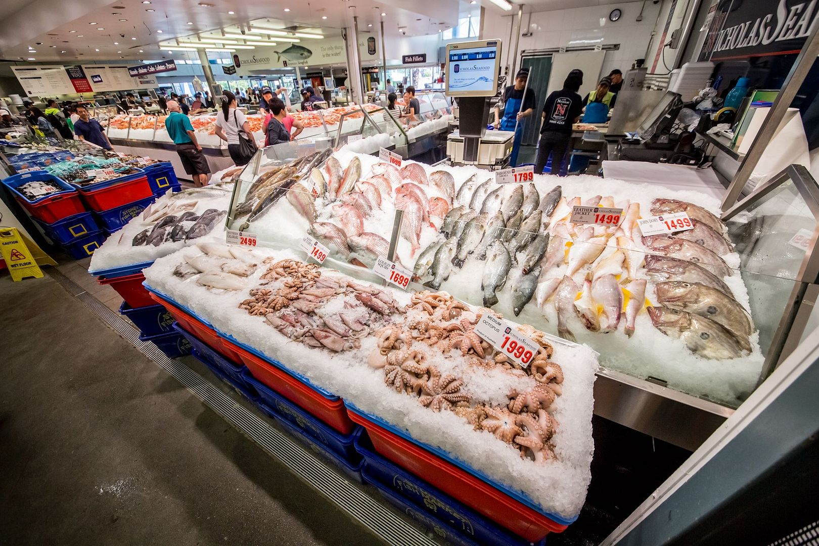 Sydney Fish Market